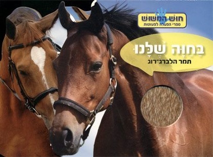 בחוה שלנו ספר מישוש