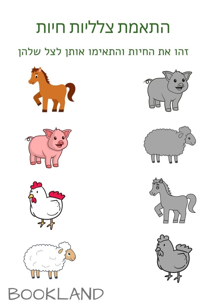 התאמת צללית חיות